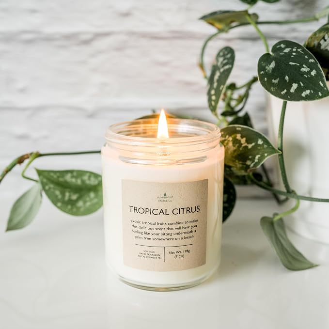 Handmade | Soy Candle (Tropical Citrus, 8 oz.)