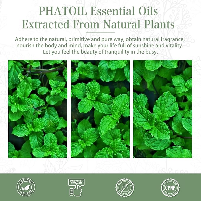 Spearmint 1.01fl.oz Essential Oil, PHATOIL Pure Aromatherapy Oils for Diffuser, Humidifier, Perfect for DIY Soap, Candle, Bath Bombs Making(30ml)