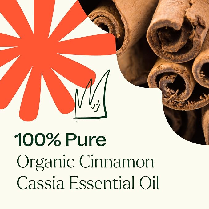 Plant Therapy USDA Certified Organic Cinnamon Cassia Essential Oil 10 mL (1/3 oz) 100% Pure, Undiluted, Cozy Aroma, Soothes Sore Muscle