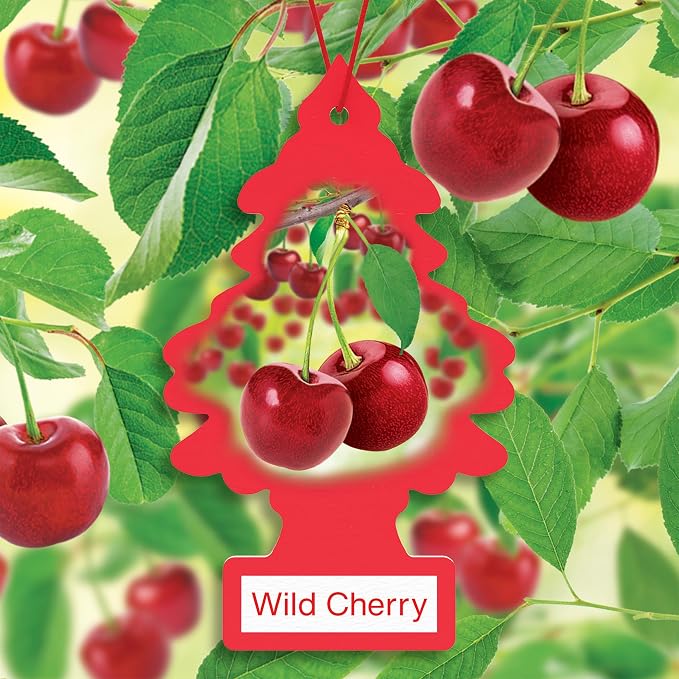 LITTLE TREES Car Air Freshener | Hanging Tree Provides Long Lasting Scent for Auto and Home | 24 Air Fresheners |Wild Cherry