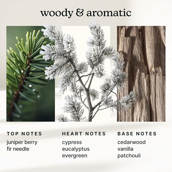 Homedics SereneScent Waterless Diffuser Oil Refill — Frosted Cypress (120ml). Invigorating Home Fragrance. Compatible with SereneScent Diffusers. Easy Twist Plug & Play