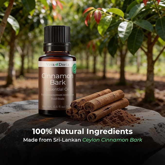 Viva Doria Ceylon Cinnamon Bark Oil - 100% Pure, Natural, Undiluted, Food Grade Essential Oil, 15 mL (0.5 Fl Oz)