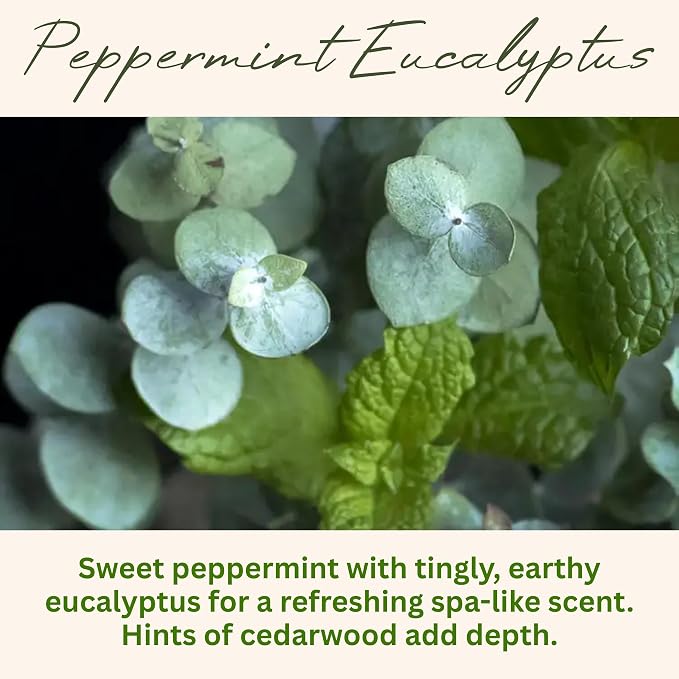 Wickless Peppermint Eucalyptus Scented Candles for Candle Warmer Lamp, Many Scents to Choose, 100% Non-Toxic Soy Wax, Candle Melts for Warming Plate, Handmade in The USA (Peppermint Eucalyptus)