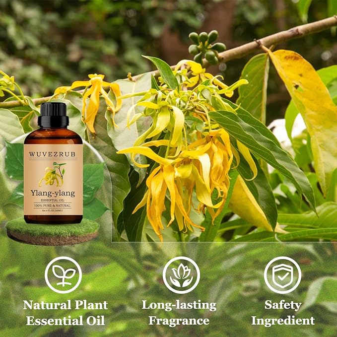 Ylang-Ylang Essential Oils 120ML, Pure Ylang-Ylang Essential Oil for Aromatherapy Diffuser - 4 Fl Oz