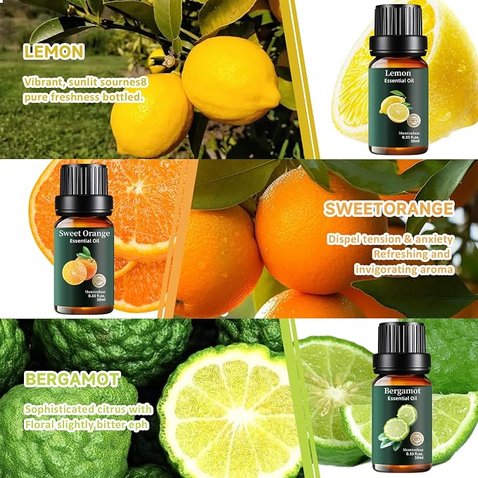 Fruity Essential Oil Set 12x10ml, Pure Lemon Grapefruit Orange Bergamot Pineapple Coconut Mango Pomegranate Blueberry Fig Lychee Cherry, Aromatherapy for Candle & Soap Making, Home Freshener
