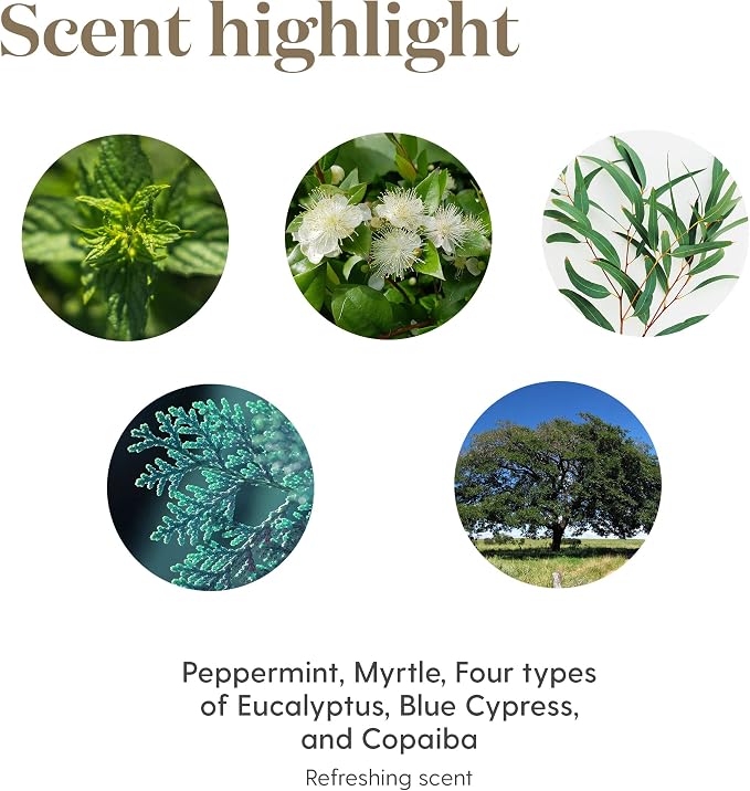 Young Living Breathe Again Essential Oil Roll On - 10ml for Easy Relief - Combines Copaiba, Myrtle, and Peppermint with Four Different Types of Eucalyptus