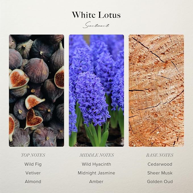Scentiment White Lotus Diffuser Oil - Premium Hotel Scent with Notes of of Wild Fig, Vetiver, Almond & Sandalwood Home Scent, Hotel Fragrance Oil Diffuser Refill - 1.69 fl oz (50 mL)