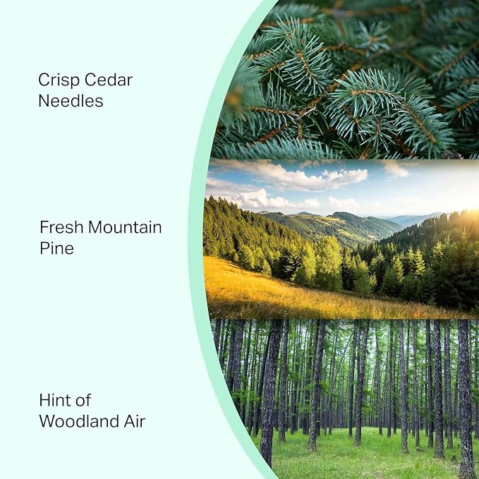 Pine Volcano Candle 19oz: 80-Hour Burn, Natural Refreshing Pine Scent, Hybrid Soy Wax, Crackling Wood Wick, Teal Matte Glass Jar, Gold Foil Gift Box by Spotless Candles