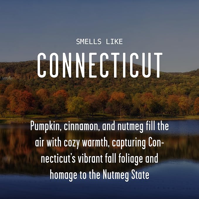 Connecticut Gifts, Connecticut Decor for Home - 'There's No Place Like Connecticut Candle, w/Pumpkin, Cinnamon & Nutmeg I Connecticut Souvenirs I Connecticut State Gifts I 9oz Jar, 50Hr Burn, USA Made