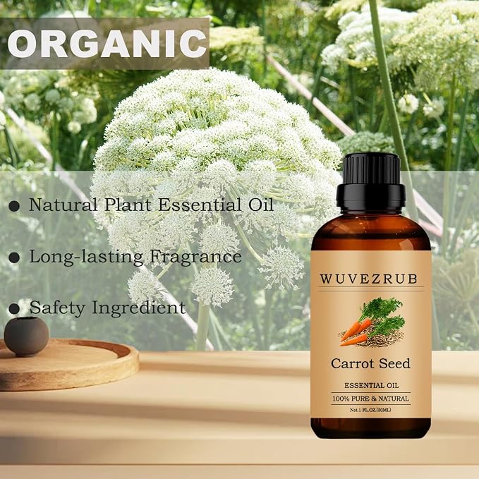 Carrot Seed Essential Oils, 30ML 100% Pure and Natural Essential Oil for Aromatherapy Diffuser - Carrot Seed / 1 Fl Oz