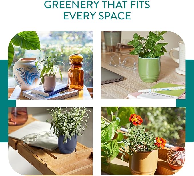 Modern Sprout - 2-in-1 Soy Candle & Planter - Last Light (Bug-Repelling Citronella, Rosemary, Cedarwood, Mint) 6 Oz Scented Candle with Marigold Seeds - Dual Purpose Jar - 38-40 Hour Burn