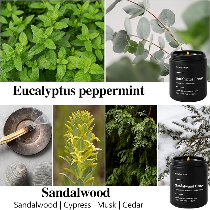 Homsolver Set of 4 Scented Candles for Home Decor, Candle Gifts for Dad Men Him, 200Hours Burn Tine, Vanilla, Lavender, Sandalwood, Eucalyptus Scented with Black Jar