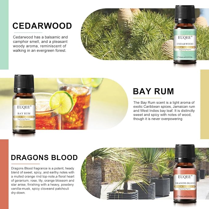EUQEE 6PCS Fragrance Oils for Men, Men's Pubs Gift Set Premium Fragrance Oils -10ml-Leather, Honeyed Haze, Dragons Blood, Sandalwood, Bay Rum, Cedarwood (Men's Pubs)