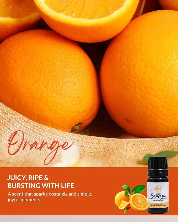 Essence Pearl Travel Case | Orange Essential Oil | Aromatherapy Nasal Diffuser & Essential Oil Carrying Case | Uplifting Citrus Scent | Travel-Friendly Kit | Black Pod