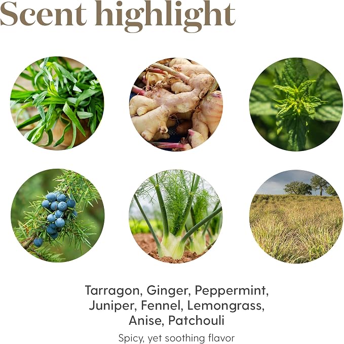 Vitality Digize 5ml Young Living Essential Oils