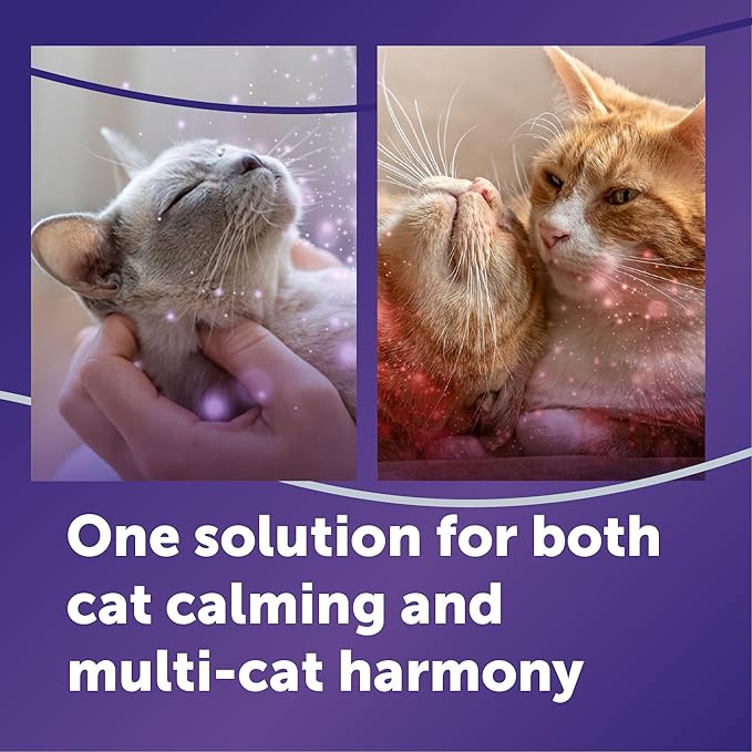FELIWAY Optimum Cat Calming Diffuser Kit – Advanced Support to Help Reduce Urine Spraying, Scratching, Fighting and Hiding due to Stress – 30‑Day All in One Cat Pheromone Plug In Diffuser