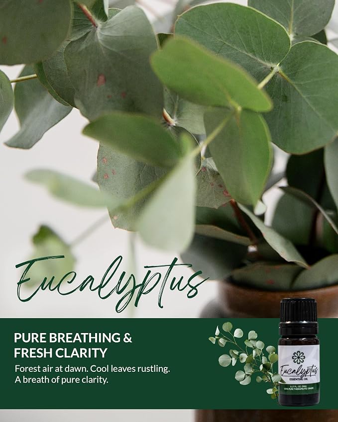 Essence Eucalyptus Essential Oil, 5 ml | Aromatherapy Oil for Diffusers & Personal Use | Natural Fragrance for Relaxation, Clarity & Wellness | Made in USA | Fresh & Revitalizing Scent