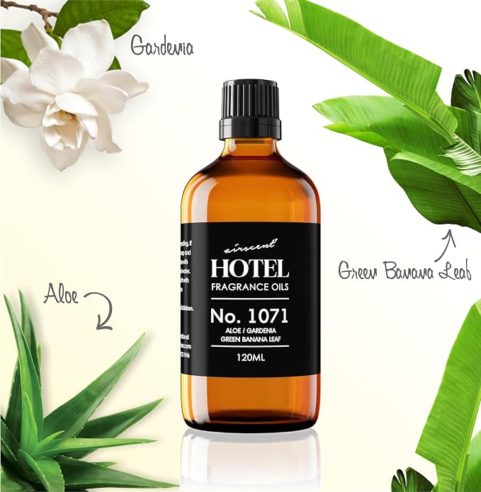 AirScent Hotel Diffuser Oil No. 1071 - Aloe Gardenia Green Banana Leaf - Premium Fragrance Oil for Ultrasonic and Waterless Diffusers and Crafting - 120 mL, 4 fl oz Glass Dropper Bottle