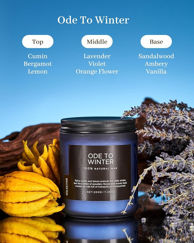 M&SENSE Ode to Winter Scented Candle for Home Natural Soy Wax Non Toxic Cotton Wick Winter Scent, 7.05oz Up to 50 Hours Burn Time Gifts for Christmas Holiday
