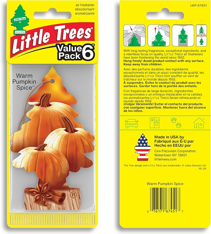LITTLE TREES Car Air Freshener | Hanging Tree Provides Long Lasting Scent for Auto and Home | Warm Pumpkin Spice, 24 Air Fresheners