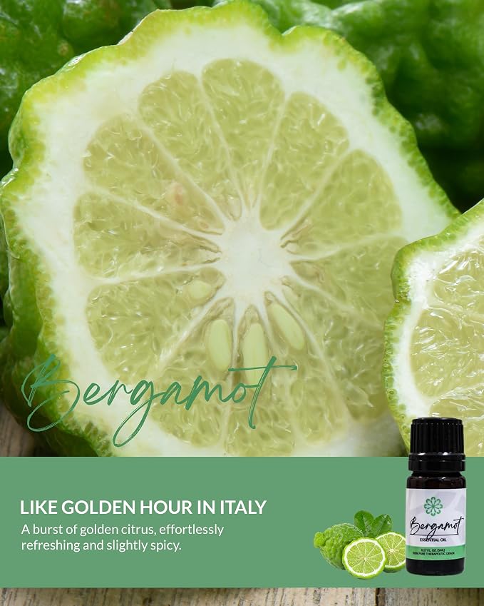 Essence Pearl Travel Case | Bergamot Essential Oil | Aromatherapy Nasal Diffuser & Essential Oil Carrying Case | Refreshing Citrus Scent | Travel-Friendly Kit | Black Pod