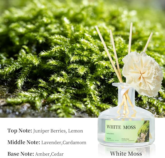 8.45 oz White Moss Scent Diffusers with 6 Reed Sticks,250ml Reed Diffuser for Bathroom Room Air Freshener, Last up for 50 Days