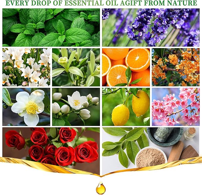 Essential Oils Set, 12 Scents, 10 ML Bottles, Lavender, Lemon, Rose, Jasmine, Vanilla, Sandalwood and More, for Humidifiers, Diffusers, Aromatherapy