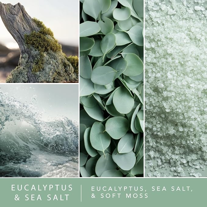 ScentSationals Water-Based Reed Diffuser - Eucalyptus & Sea Salt - 5 FL OZ Aromatherapy Reed Diffuser
