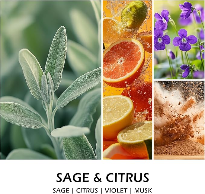 Molensun Sage & Citrus Scented Candles, Aromatherapy Jar Candle, 7 oz Long Lasting Candles, Soy Wax Candle Gift for Women