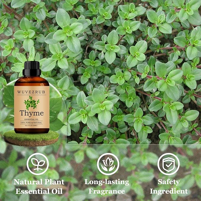 Thyme Essential Oils 120ML, Pure Thyme Essential Oil for Aromatherapy Diffuser - 4 Fl Oz