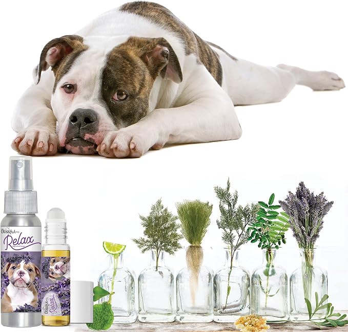 The Blissful Dog American Bulldog Relax Roll-ON Aromatherapy for Dogs - Anxiety Relief for Dogs
