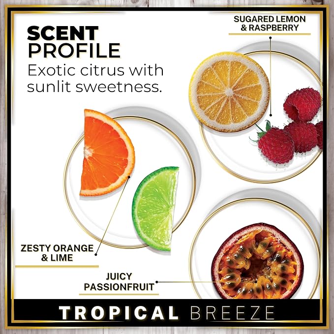 Urban Naturals Car Air Freshener Diffuser 3 Pack - Tropical Breeze Scent, 45+ Days Long Lasting Fragrance, Made in USA, Glass & Wood, Hanging Design + Vent Cip, Easy to Use