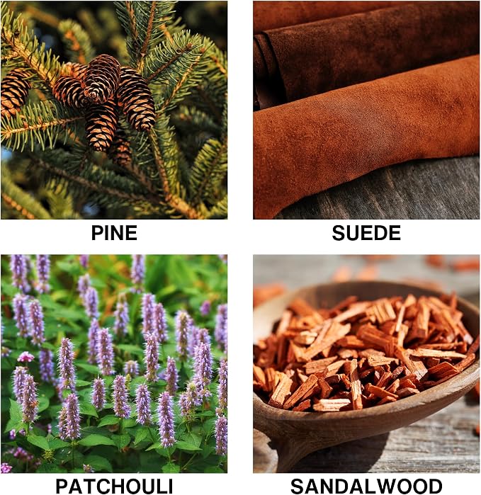Wildwood Scent Reed Wildwood Reed Diffuser – Long Lasting diffusers for Home – Luxury Home Fragrance Diffuser with Pine, Suede, Patchouli & Sandalwood – Scented Room Aroma Sticks – 50ml