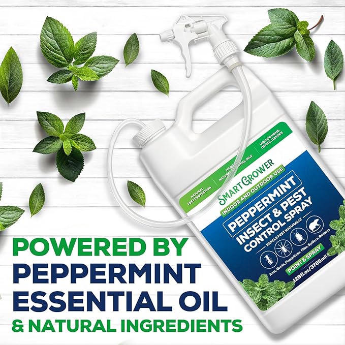 All Natural Peppermint Oil Insect & Pest Control Spray 128oz with Trigger Sprayer, Repels Mice, Spiders, Ants, for Home, Indoor, Outdoor, Garden Maximum Strength– 128 oz Smart Grower