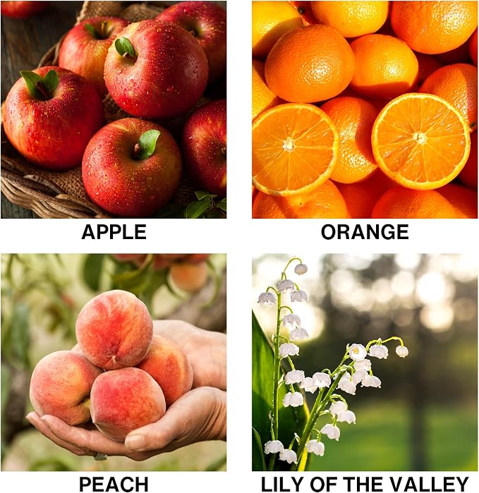 Lush Orchard Scent Aromatherapy Diffuser – Reed Diffusers for Home with Apple, Orange – Long-Lasting Essential Oil Scent – 50ml