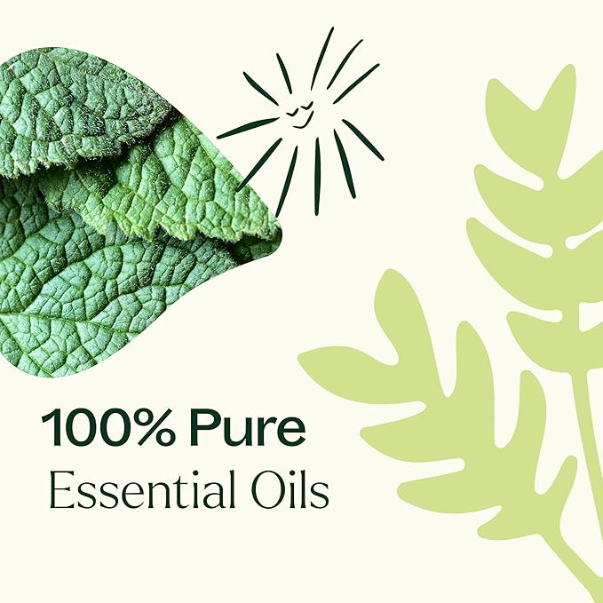 Plant Therapy Pain Support Essential Oil Roll On Blend Set, 10 mL (1/3 oz) Each of Ache Away, Rapid Relief & Tension Relief, Pure, Pre-Diluted, Essential Oil Blends
