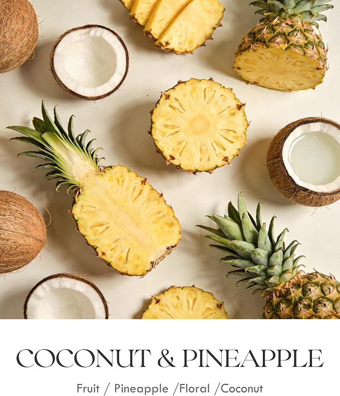AOOVOO Coconut Pineapple Odor Eliminating Highly Fragranced Candle - Eliminates 95% of Pet, Smoke, Food, and Other Smells Quickly, Air Freshing Soy Candle, 9 oz Up to 50 Hours Burn time