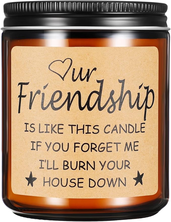 Funny Gifts for Friends,Gifts for Best Friend Women Men,Christmas Gifts for Friends,Funny Birthday Gifts for Friend,Friendship Gifts for Women Candles Gift (Friendship)