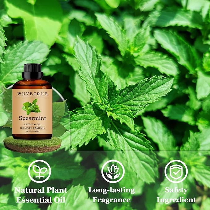 Spearmint Essential Oils 240ML, Pure Spearmint Essential Oil for Aromatherapy Diffuser - 8 Fl Oz