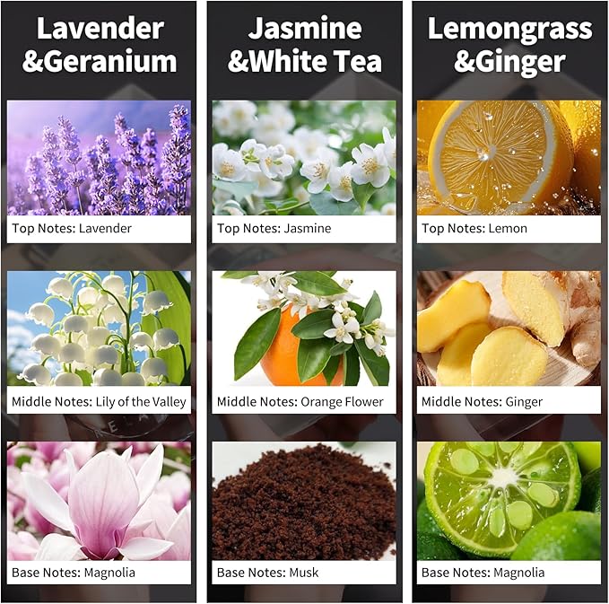3 Pack Fragrance Reed Diffuser, 50ML Lavender Jasmine Lemongrass Aromatherapy Diffuser Set with 12 Black Fiber Sticks,Air Freshener for Bedroom Bathroom Office, 8.2X 6.6X 2.1 inch