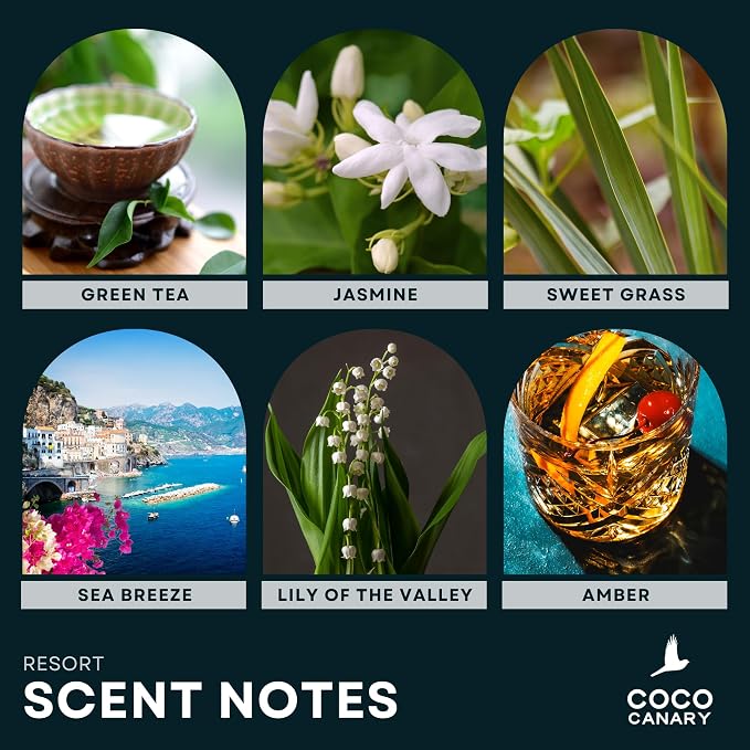 Coco Canary 6.7 oz Reed Diffusers for Home, Resort, Long-Lasting Floral Scent, Green Tea & Jasmine, Coastal Floral Breeze