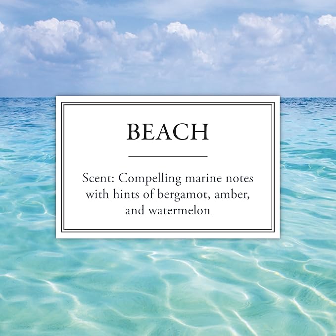 Michel Design Works Beach Scented Candle, 14 oz Soy Blend Dual Wick Candle, Glass Tumbler Jar with Lid, 75 Hour Burn Time, Clean Marine Coastal Home Fragrance Gift