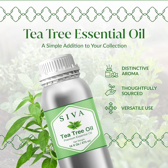 Siva Tea Tree Essential Oil 16 Fl Oz – for Diffuser, Skin & Hair Care – Ideal for Aromatherapy, Massage & DIY Blends