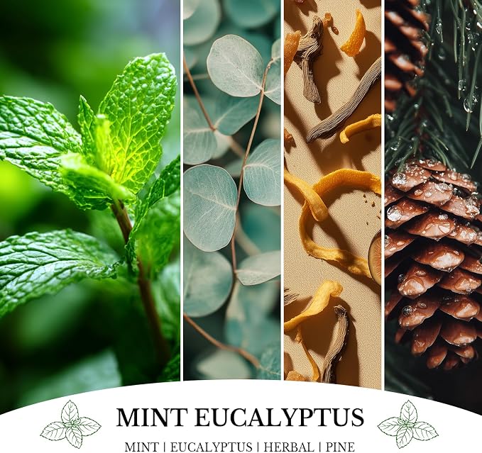Mint Eucalyptus Candles, Mint Eucalyptus Scented Candle, Mother's Day Candle Gifts for Women, Soy Candles for Home Scented, 7oz 50 Hours Burn