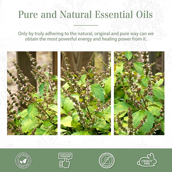Patchouli 3.38fl.oz Essential Oil, PHATOIL Pure Aromatherapy Oils for Diffuser, Humidifier, Perfect for DIY Soap, Candle, Bath Bombs Making(100ml)