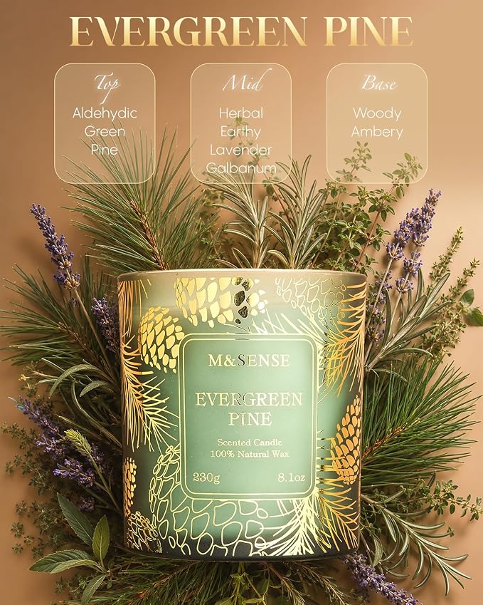 M&SENSE Evergreen Pine Vegan Soy Candles, 8.1oz 42-Hour Slow Burning Non Toxic, Aromatherapy Candle for Calming Home Fragrance, Housewarming Gifts