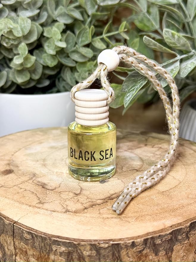 Black Sea Scent Hanging Car Air Freshener – Long Lasting Essential Oil Diffuser for Car, Closet, Bathroom – 2-Pack Natural Scent Deodorizer