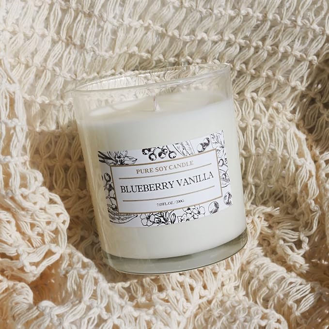 Aronica Blueberry Summer Candles for Home, Pet Safe Candles Non Toxic, House Decor Aesthetic, Regalos De Verano para UNA Casa, Labor Day Small Gift, Home Air Freshener for New Home