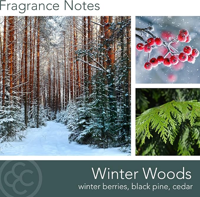 Colonial Candle Scented Jar Candle, Classic Cylinders, Winter Woods, 2 Wick, 19 oz, Green
