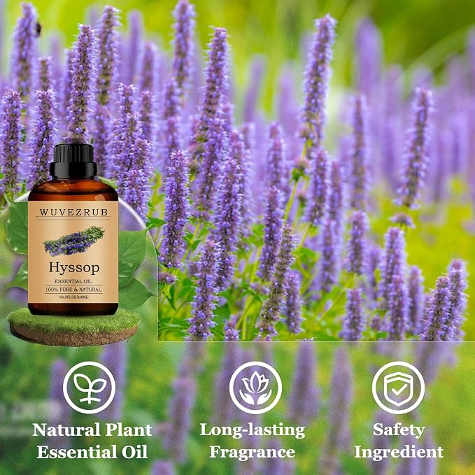 Hyssop Essential Oils 240ML, Pure Hyssop Essential Oil for Aromatherapy Diffuser - 8 Fl Oz